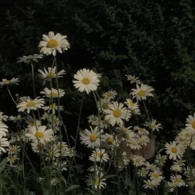 Profile image of 유하민