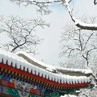Profile image of 김이도
