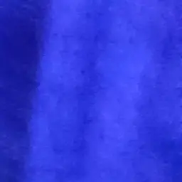 Profile image of 노유노