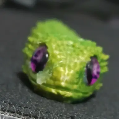 Profile image of 데라