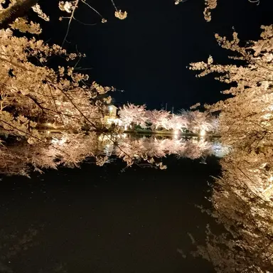 Profile image of 観測者