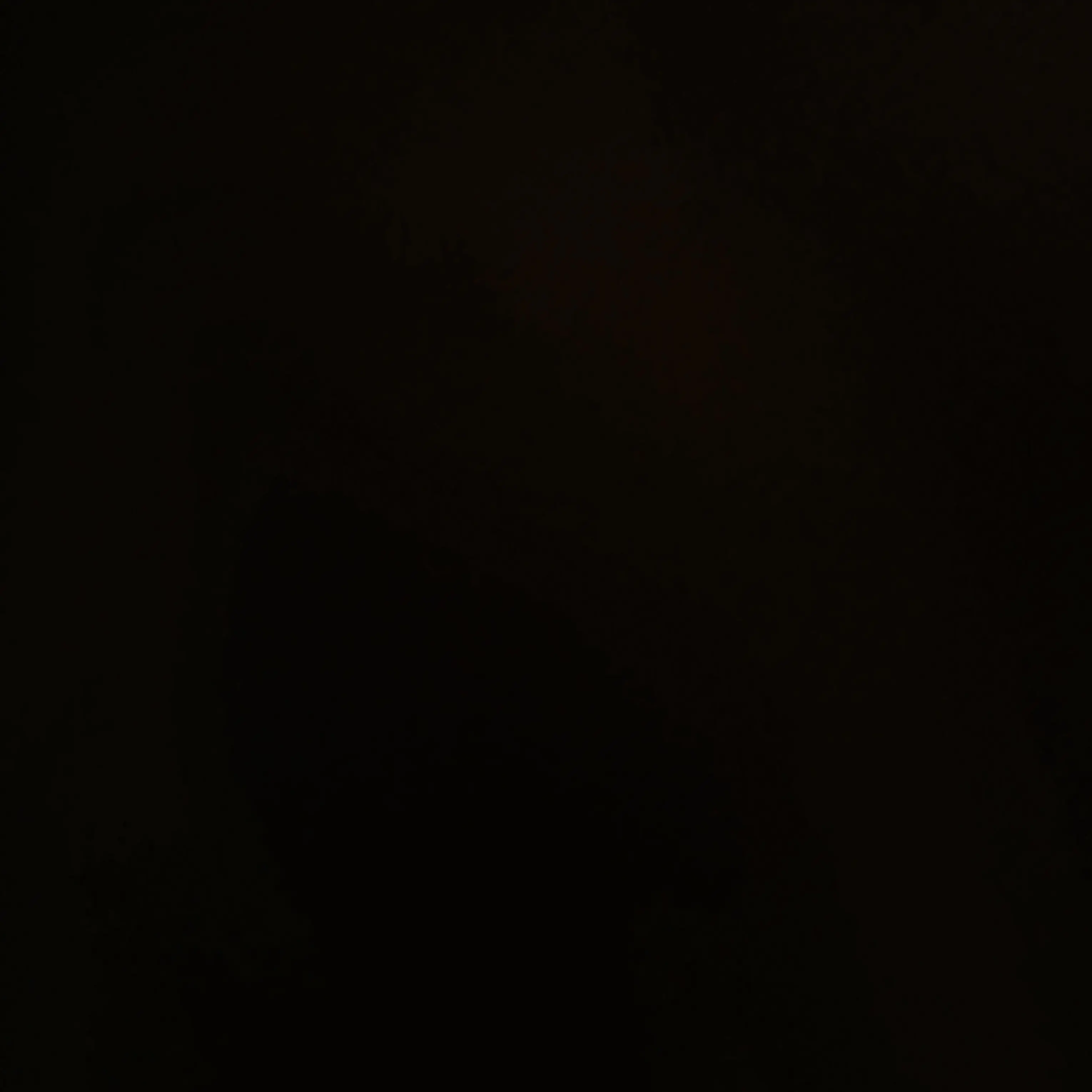 GummyDisc6942의 SKZ family