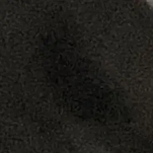 Profile image of 일진