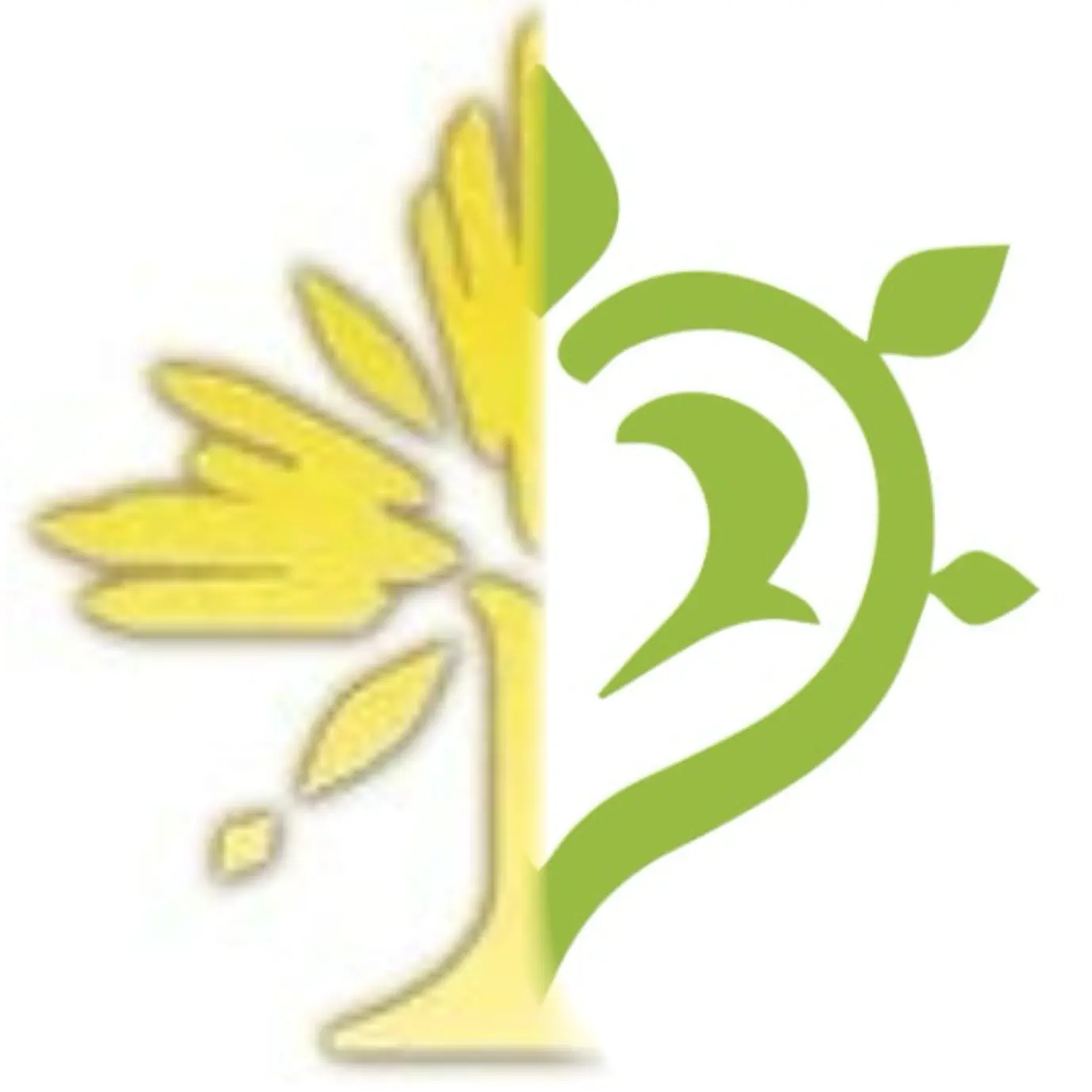 GustyRipe6294의 풀과 허수-원신-붕스타
