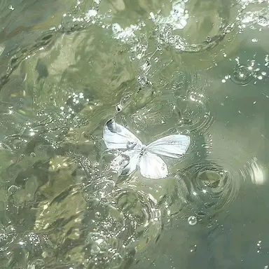 Profile image of 공룡