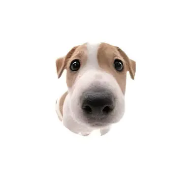 Profile image of カン・シヒョン