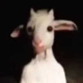 RigidQuoll6792의 쐉깔라꿍