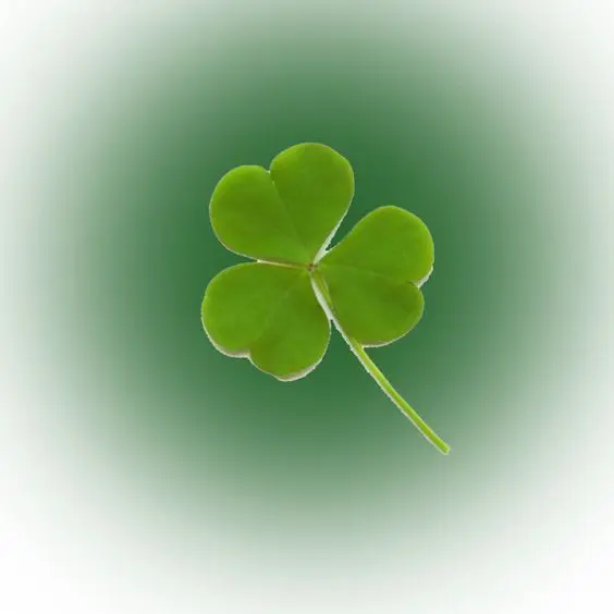 LemonyAlarm8438의 행복☘️
