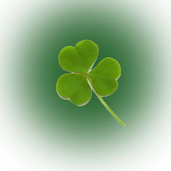 행복☘️