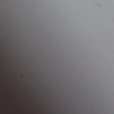 Profile image of 김원필