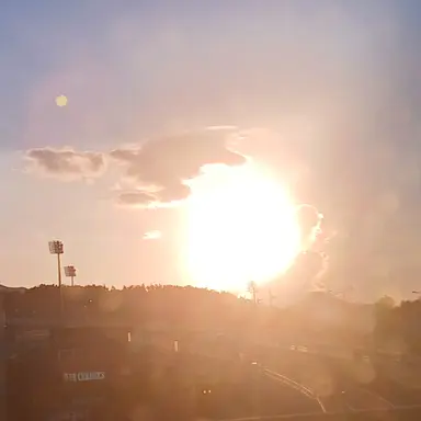 Profile image of 제미니