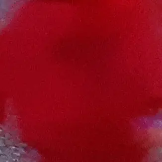 Profile image of 아카이로 류