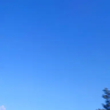 Profile image of 잭