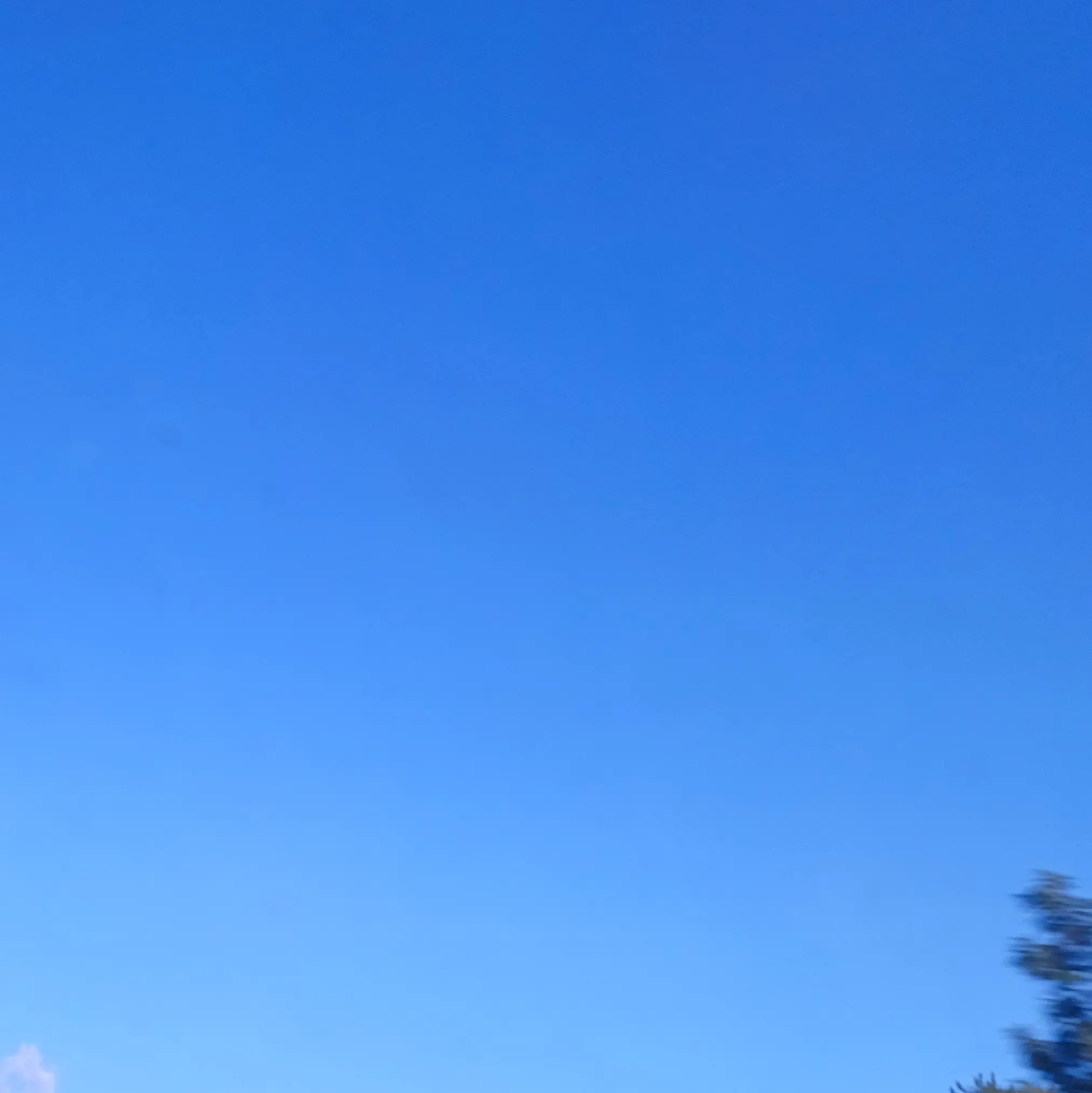 jangjangjang_Hyekyung의 ♡ 유주의 도움을 받은 공약 리레 ♡