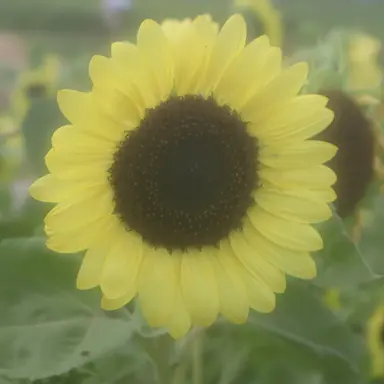 Profile image of まさと