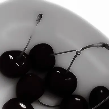 Profile image of 김 수호