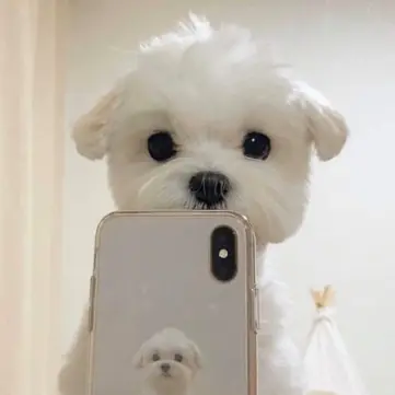 Profile image of 송하율