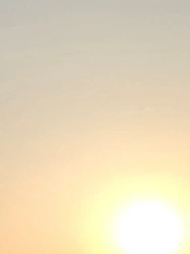 OrnateBilby0284의 運命の番