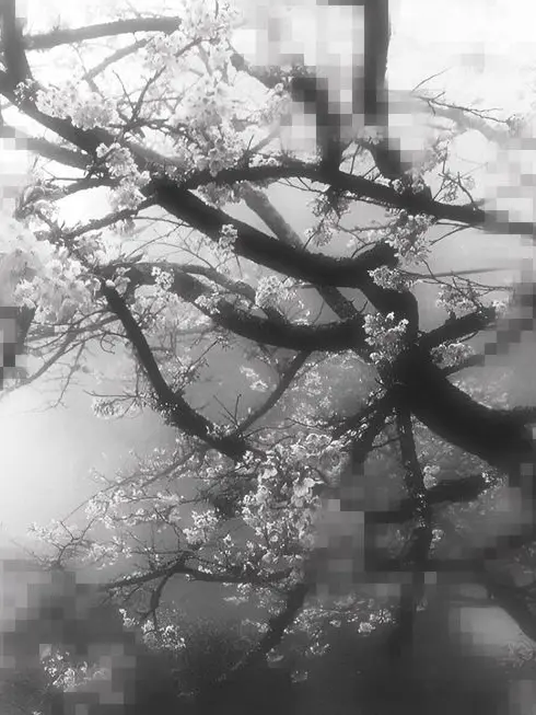 walking_snake의 李湛