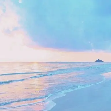 Profile image of 진행자