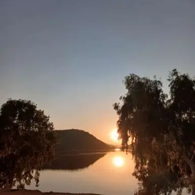 Profile image of 서라더