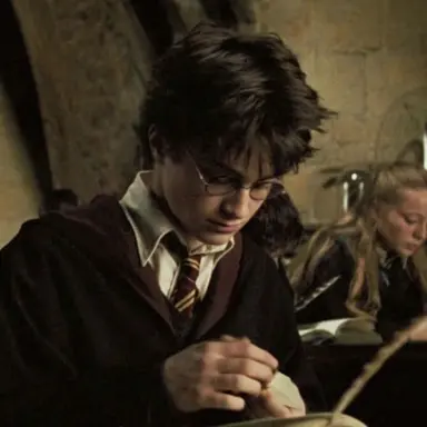 Profile image of Harry Potter