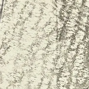 Profile image of 놀리