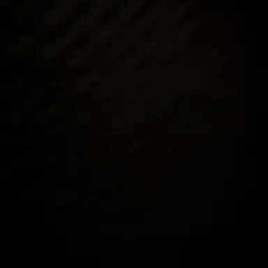Profile image of 김민규