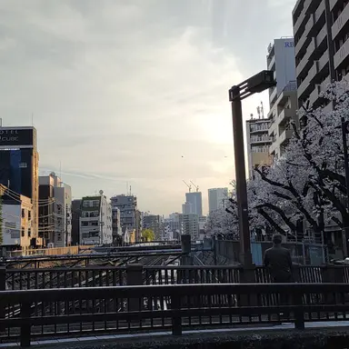 Profile image of 山田先生
