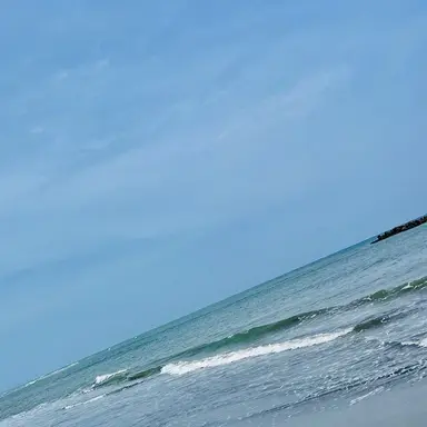 Profile image of 轟　焦凍