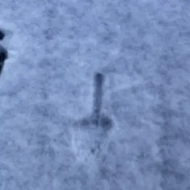 Profile image of 여우