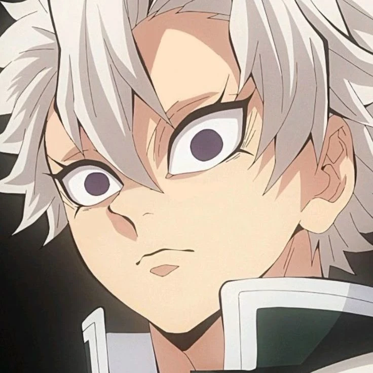 시나즈가와 사네미