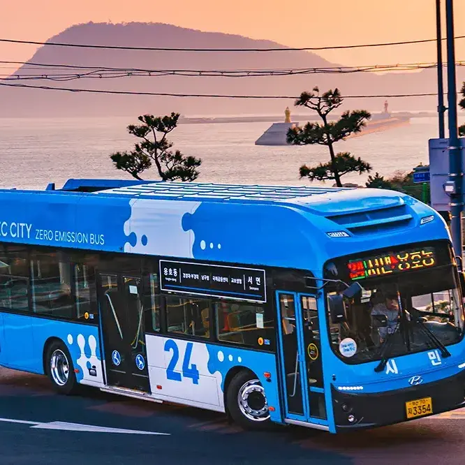Dhdhdhdb의 부산버스