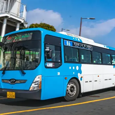 Profile image of 해운대 부산버스1