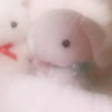 Profile image of めめ
