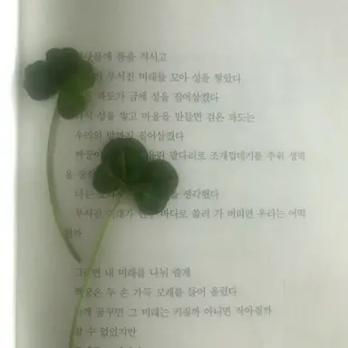 Profile image of 박하은