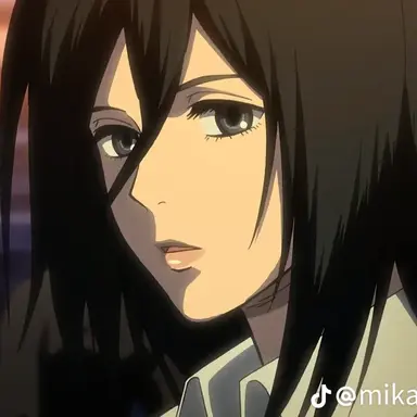 Profile image of 미카사