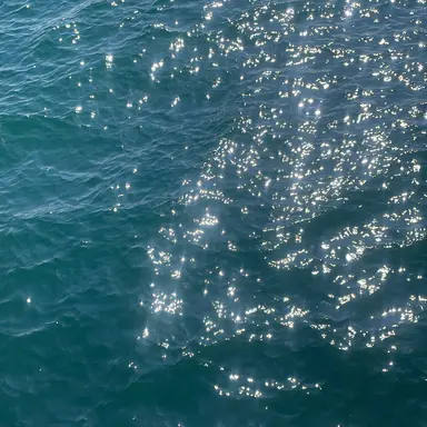 Profile image of 미도