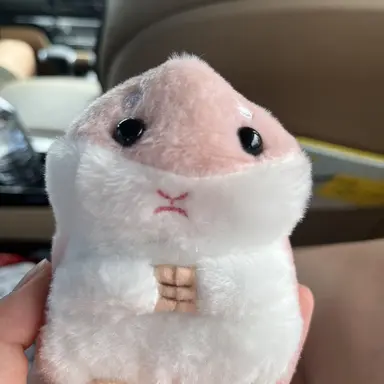 Profile image of 앵보