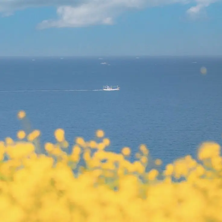 Honney_bear의 김각별