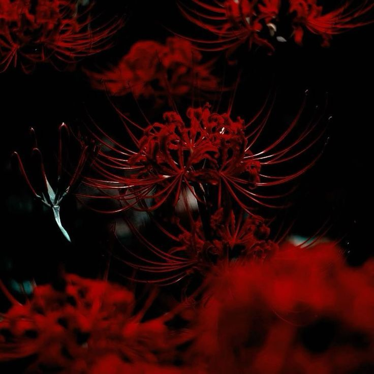 🗡 대표 이미지