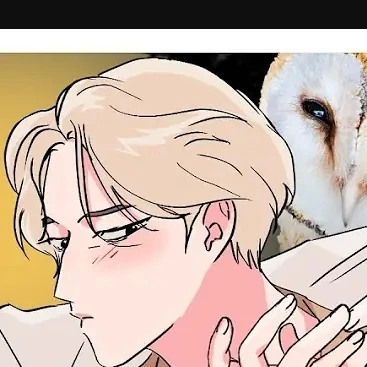올배미