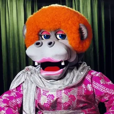 Profile image of Dolli