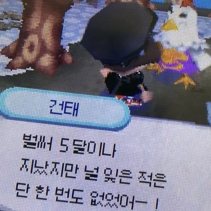 ne0mxn의 보고싶다