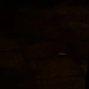 Profile image of 이종석