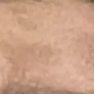 Profile image of 이민호