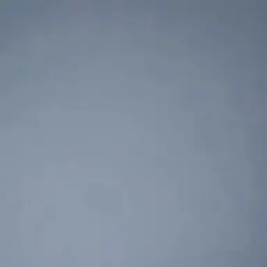 Profile image of 이채민