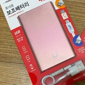 CoralDorgi8231의 윤은숙선생님