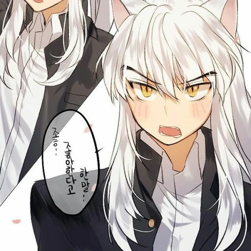 이누야샤