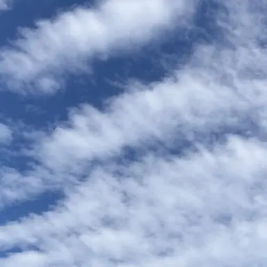 Profile image of 山田涼介